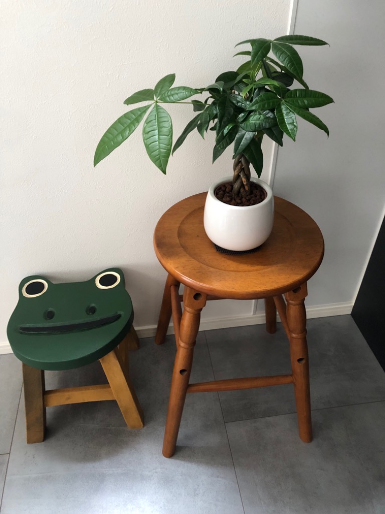 1件目のレビュー画像 | 0