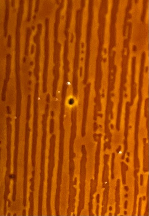 全体のレビュー画像 | 0-1