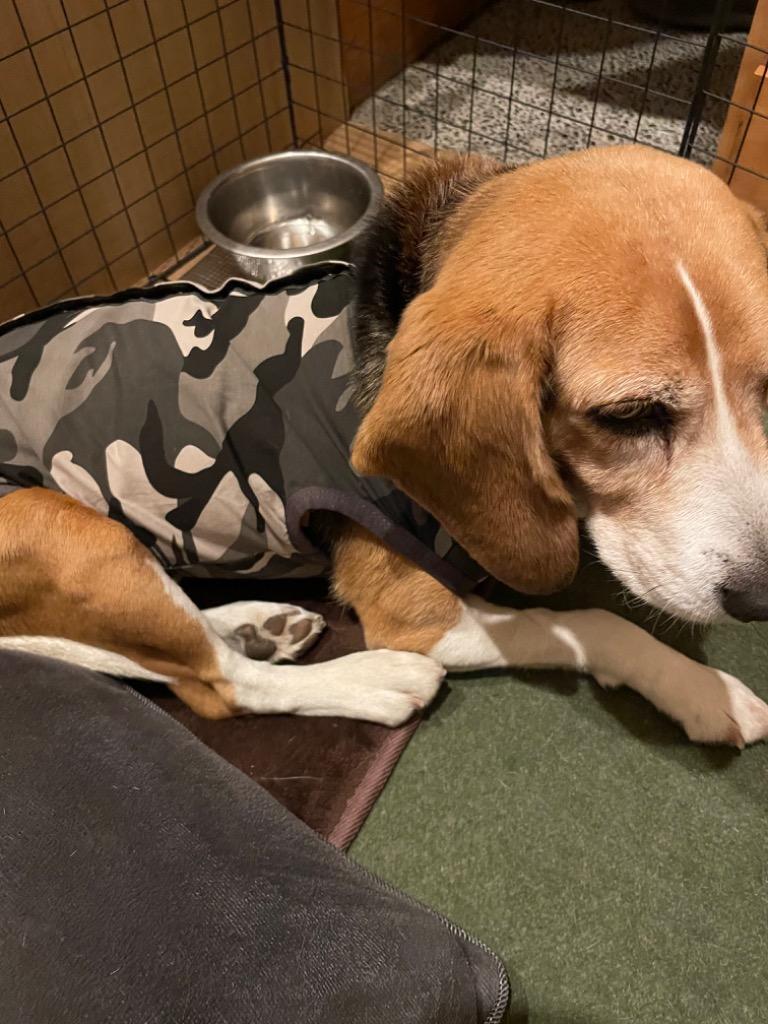 4件目のレビュー画像 | 0