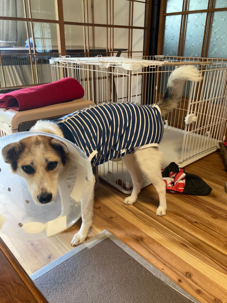 1件目のレビュー画像 | 0