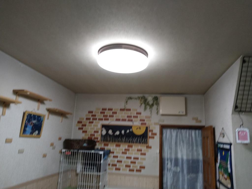 全体のレビュー画像 | 8-0