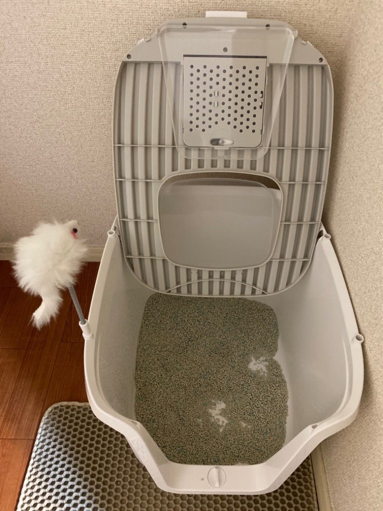 レビュー画像