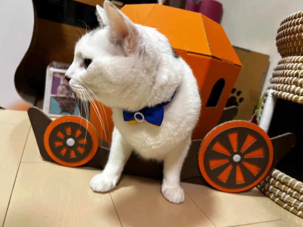 リモージュボックス かぼちゃの馬車 サイン入り