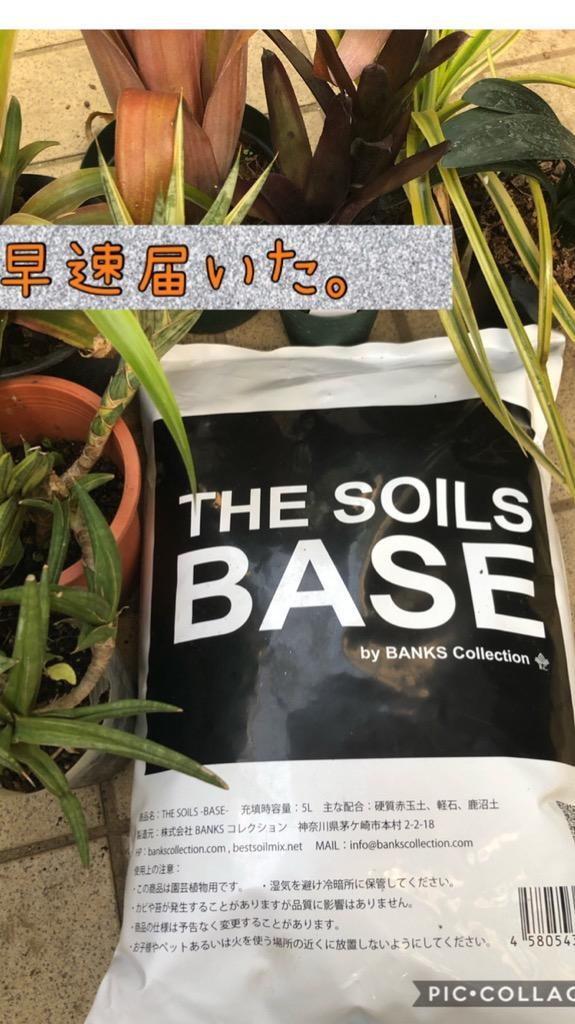 Ba5 1 ザソイルベース5l1袋 The Soils Base 観葉植物用培養土 バンクスコレクション 005 Banksコレクション Yahoo 店 通販 Yahoo ショッピング