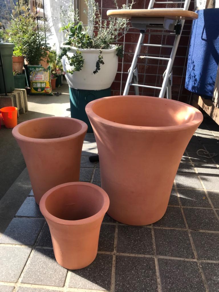 楽天市場】テラコッタ 植木鉢 大型 おしゃれ 人気 プランター おすすめ 観葉植物 素焼き 園芸鉢 観葉鉢 陶器鉢 器 ポット ガーデニング 園芸用品  寄せ植え インテリア 花 緑 お庭 テラス バルコニー 鉢カバー お洒落 花壇 特大 大きい 大きめ テラクレマ FR1 ホワイト 