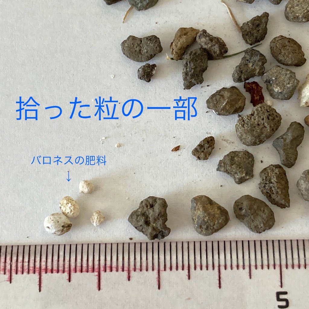全体のレビュー画像 | 5-3