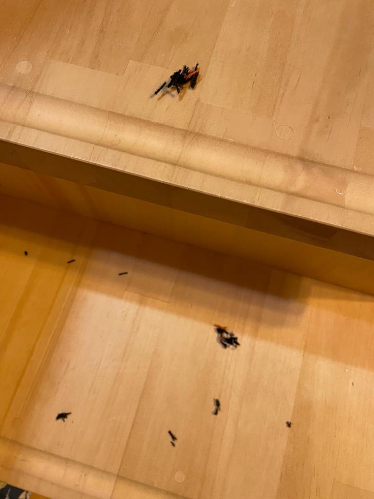 全体のレビュー画像 | 5-2