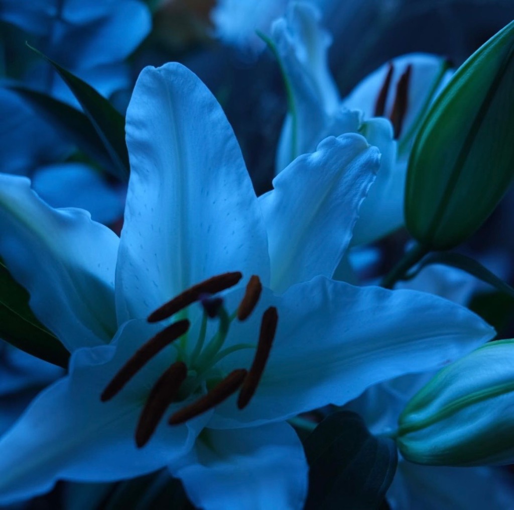 2件目のレビュー画像 | 0