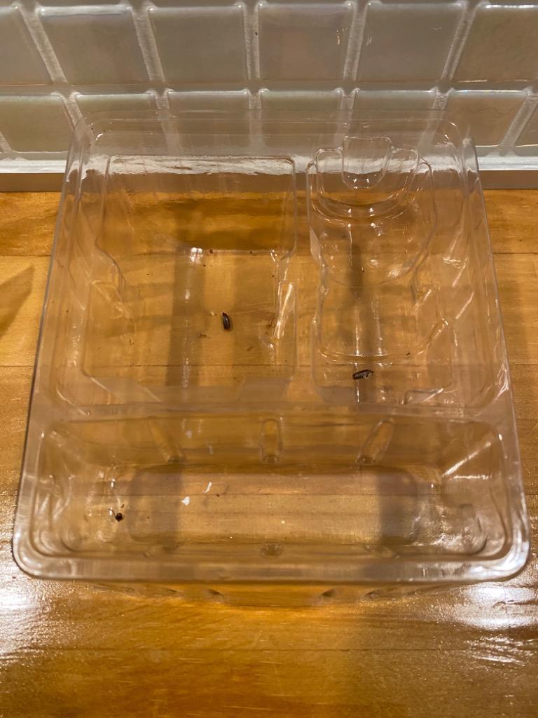 全体のレビュー画像 | 3-0