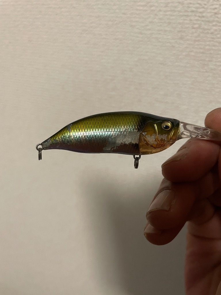 レビュー画像