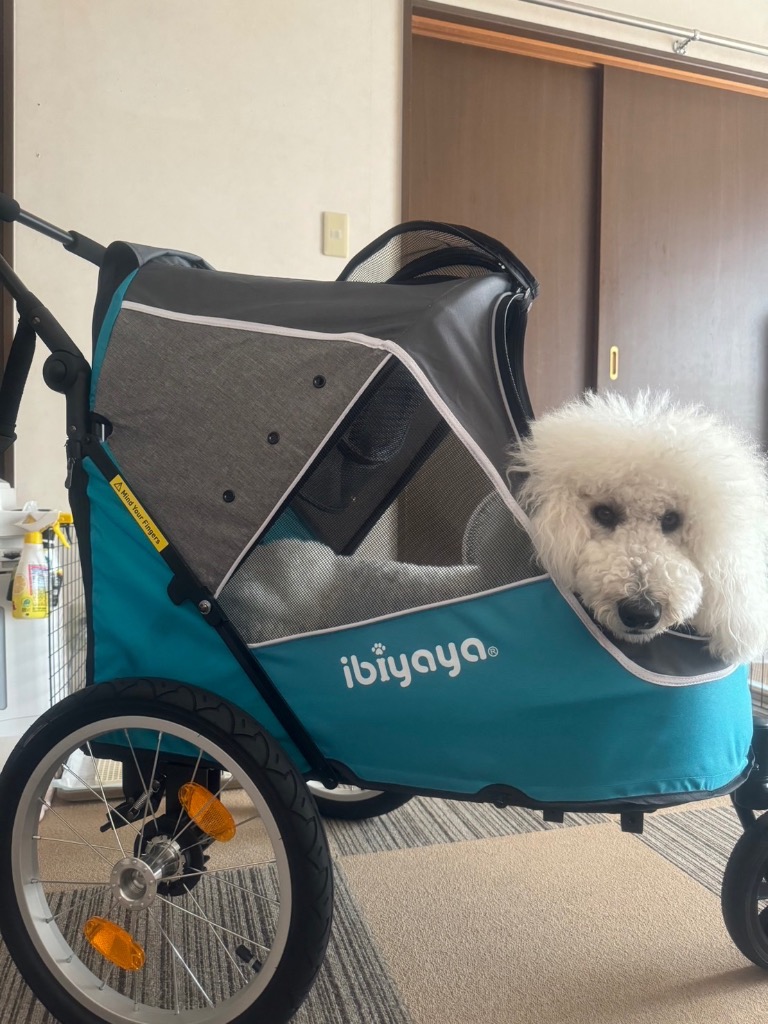 譲ります、サイクルトレーラー、イビヤヤ、ペットトレーラー、ほぼ新品、キャリー、カート、犬、多頭飼い、ドッグ、牽引 - 東京都のその他