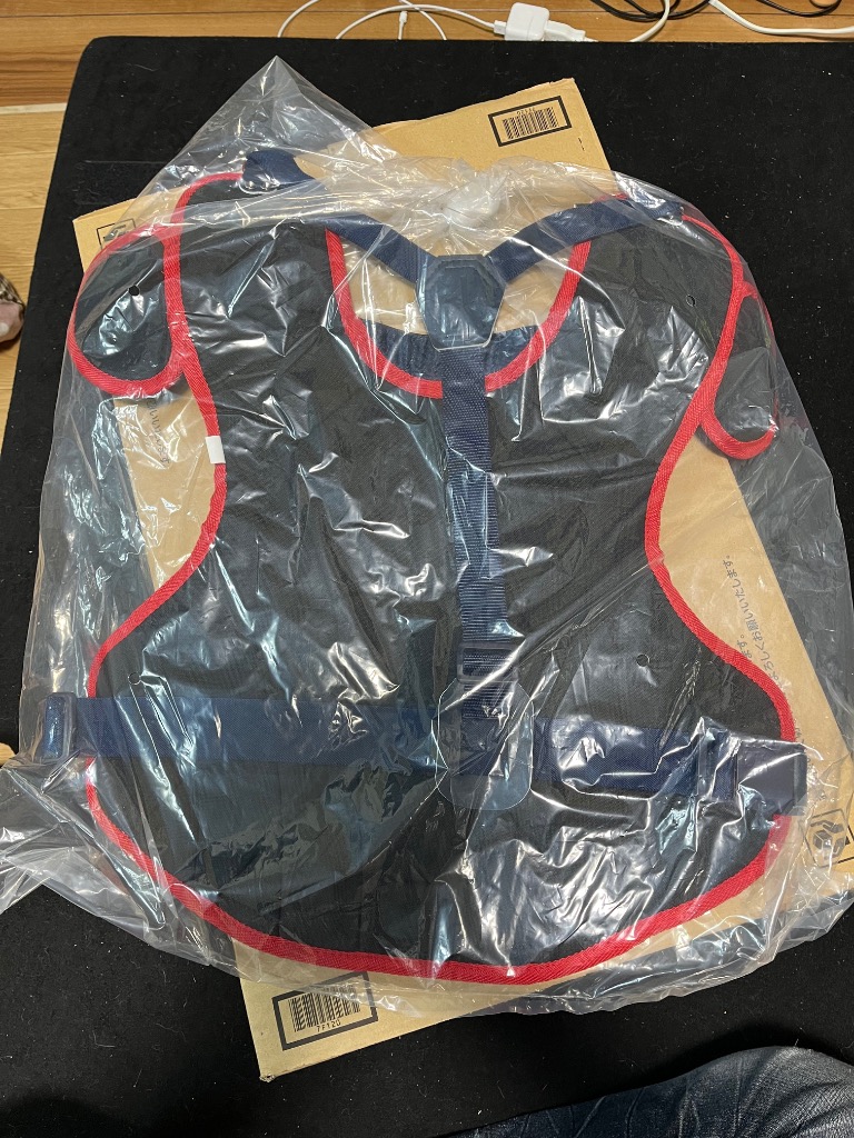 レビュー画像