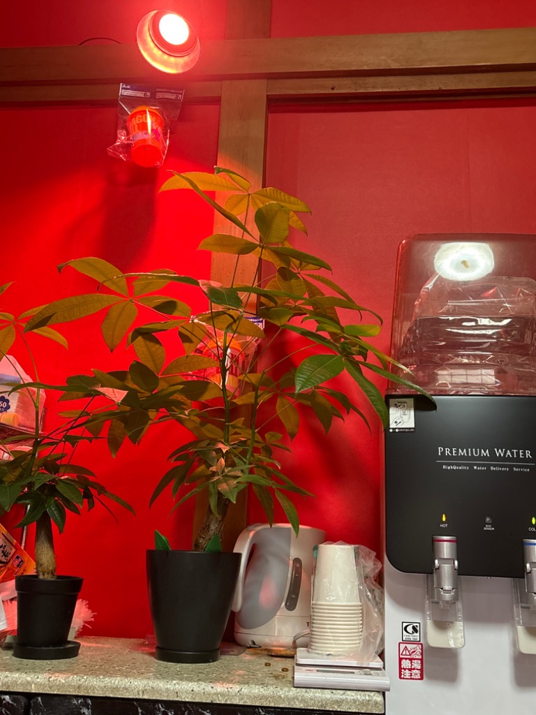 Beamtec LED 植物育成 水耕栽培 LEDライト 観葉 植物 育成 Beamtec LED 植物育成 水耕栽培 LEDライト 観葉 植物 育成