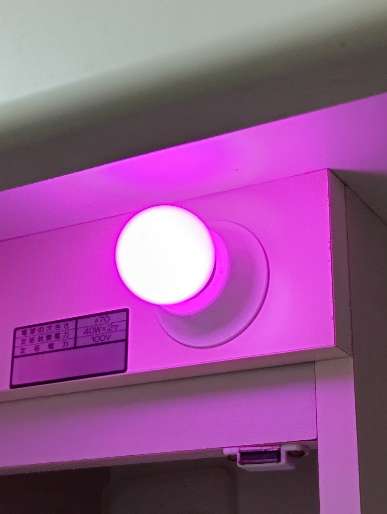 Beamtec LED 電球 E26 ミニボールタイプ 1W LED装飾電球 IP65