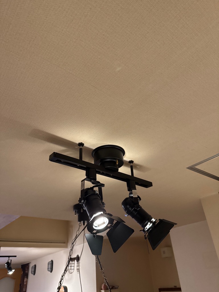 Beamtec バーンドア付 ダクトレール スポットライト led