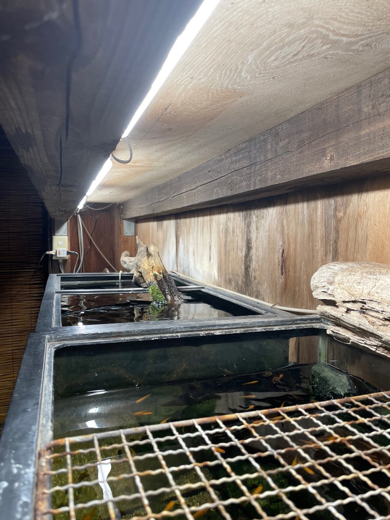 全体のレビュー画像 | 0-0