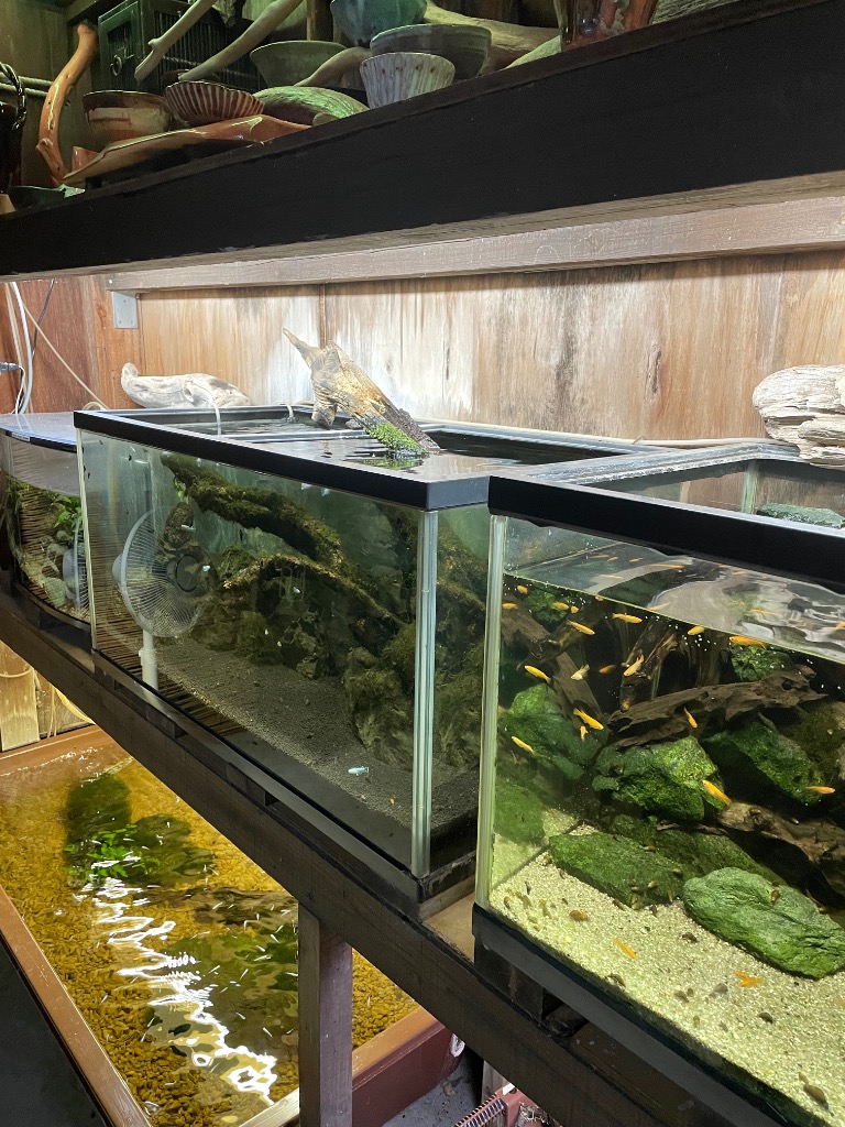 全体のレビュー画像 | 0-1