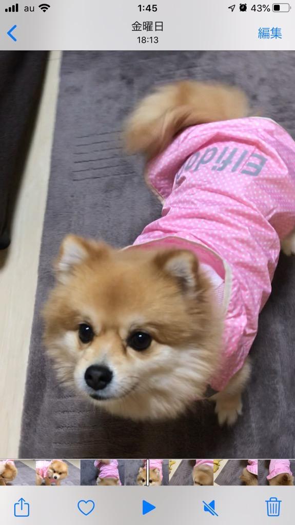 レビュー画像