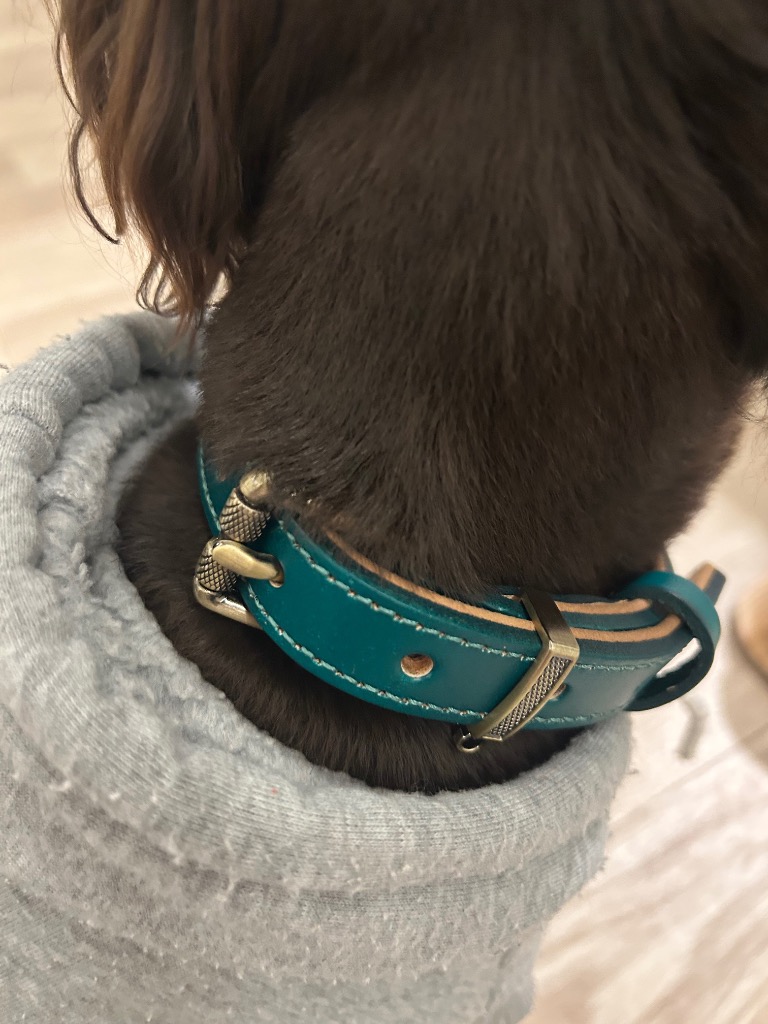 全体のレビュー画像 | 0-2