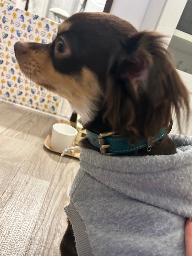 全体のレビュー画像 | 0-3