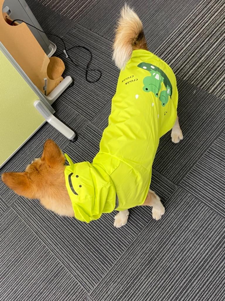 レビュー画像