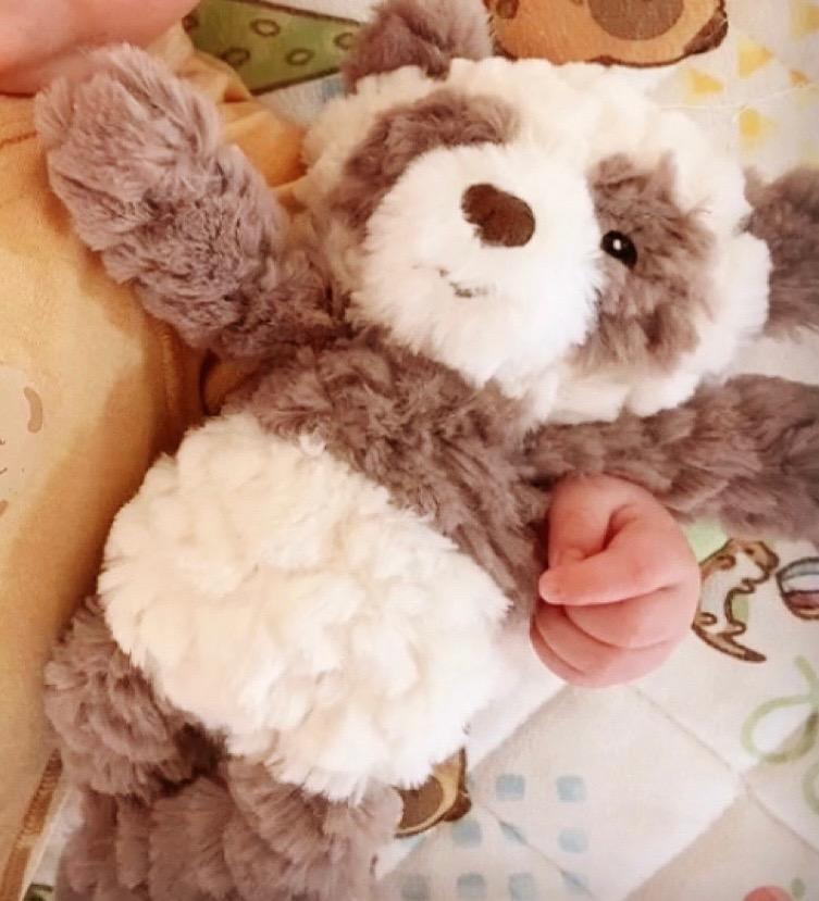 メリーマイヤー ぬいぐるみ テディベア Sサイズ Mary Meyer