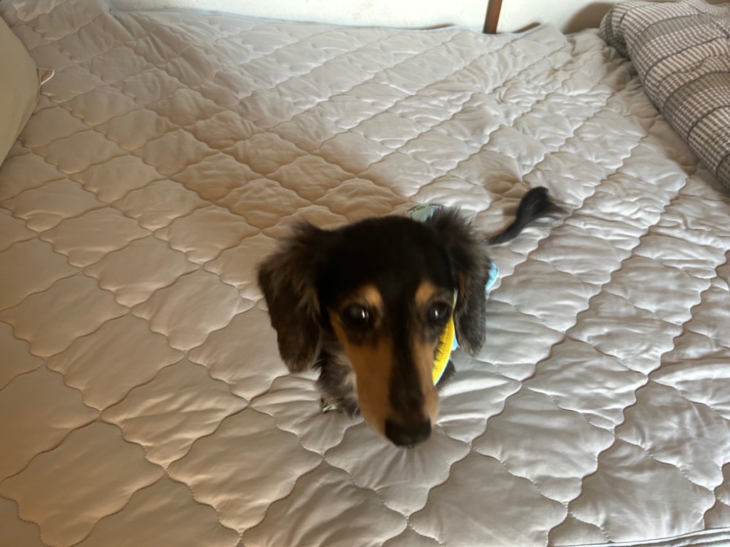 全体のレビュー画像 | 0-0