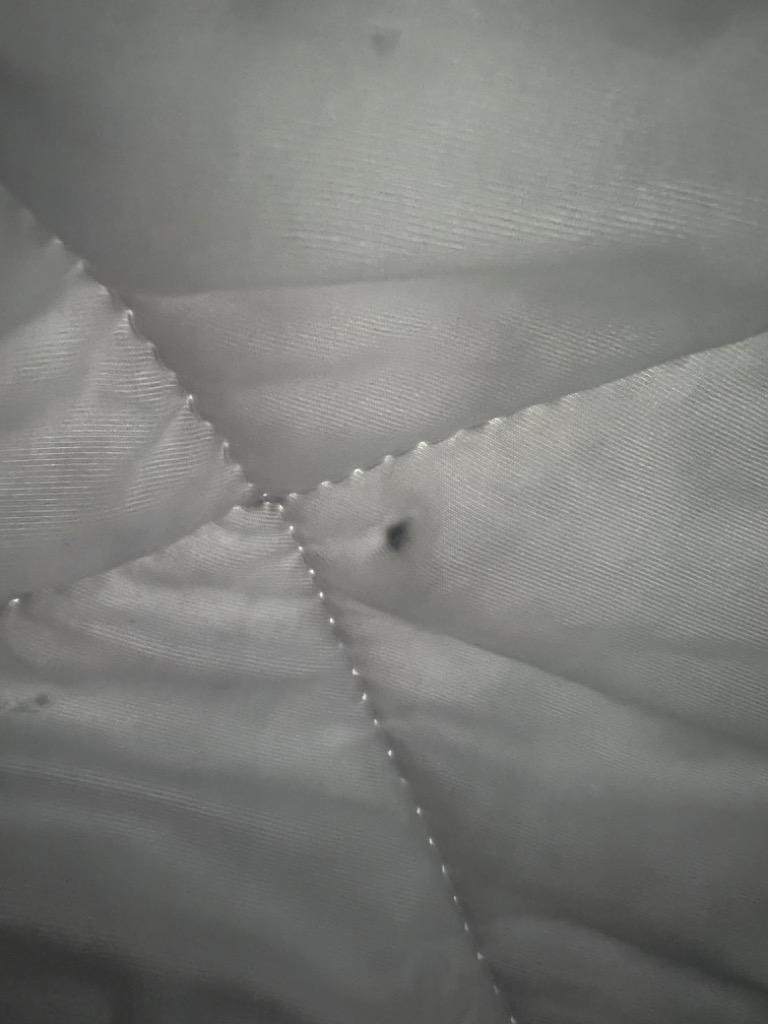 全体のレビュー画像 | 0-0