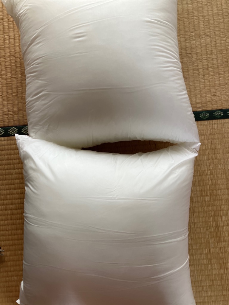 ヌードクッション 50×50 2個セット 日本製 クッションカバー用