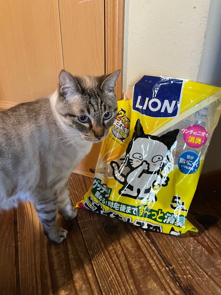 全体のレビュー画像 | 11-0