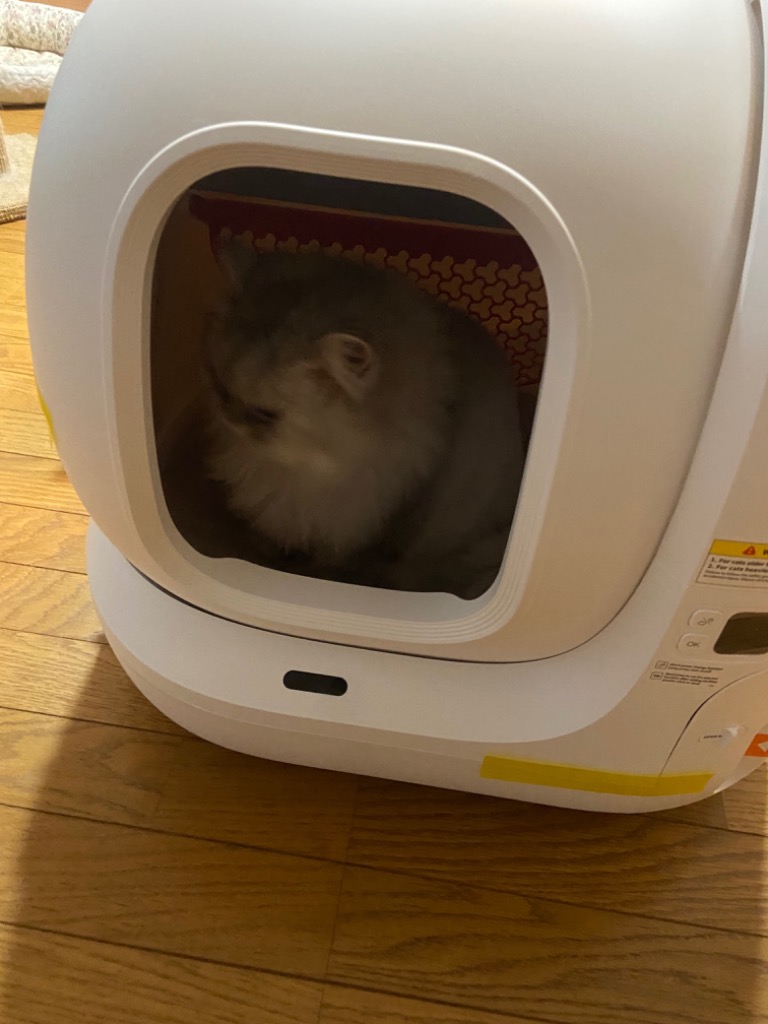 PETKIT 約1万円分ギフト&抽選ギフト&15%OFF【即納 フルセット PETKIT 約1万円分ギフト&抽選ギフト&15%OFF【即納 フルセット