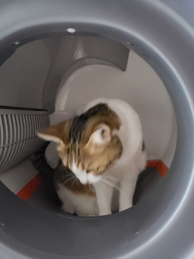 PET MARVEL】 自動猫用トイレ 猫トイレ 自動ペットトイレ ネコトイレ 