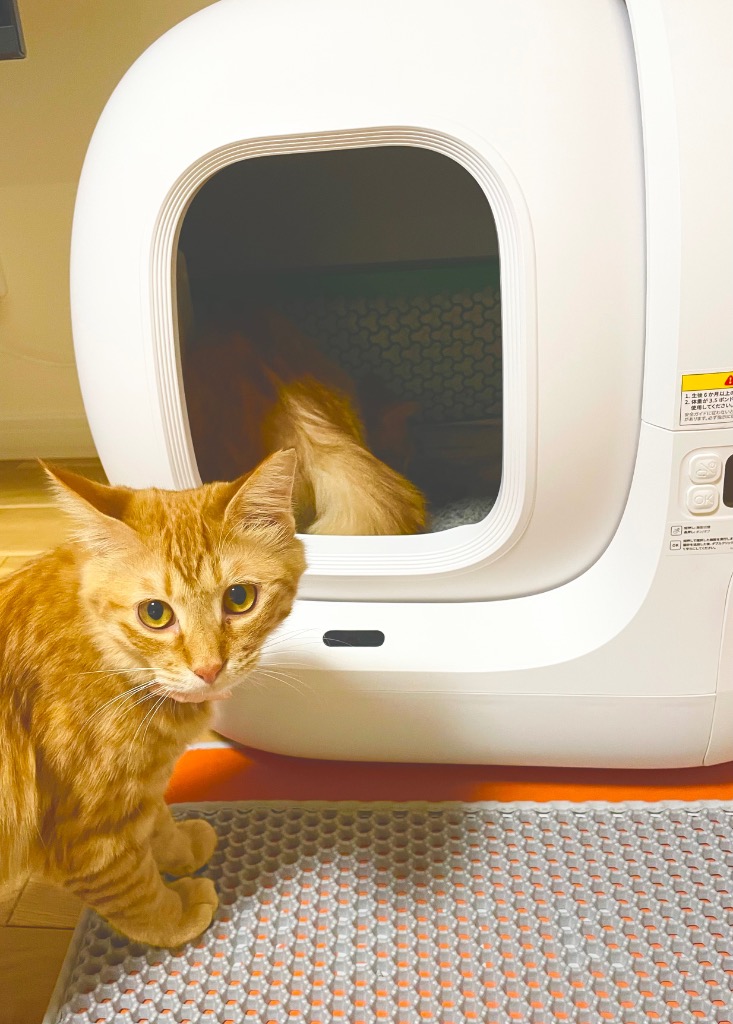 PETKIT 約1万円分ギフト&抽選ギフト&15%OFF【即納 フルセット PETKIT 約1万円分ギフト&抽選ギフト&15%OFF【即納 フルセット
