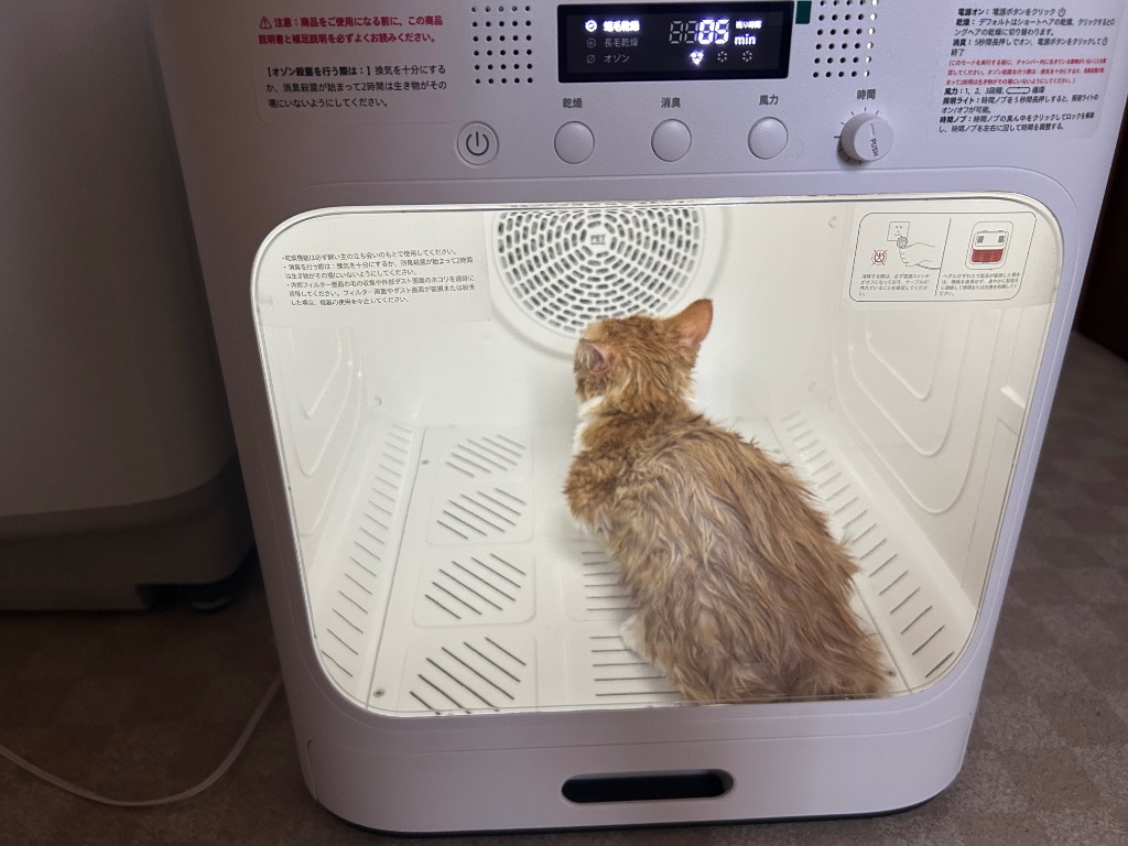 レビュー画像