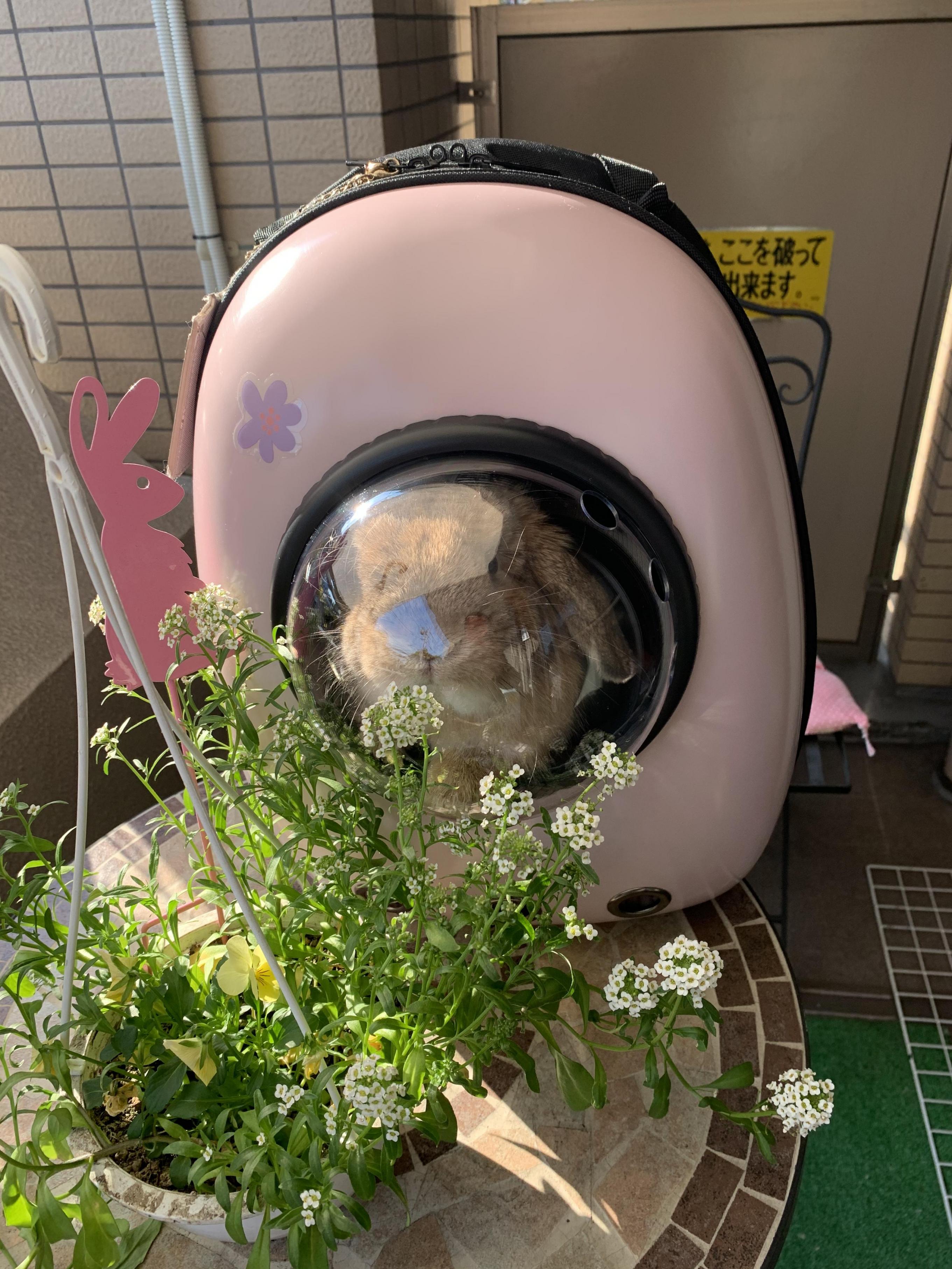 10件目のレビュー画像 | 5