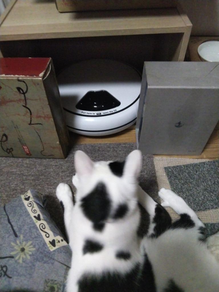 2件目のレビュー画像 | 0