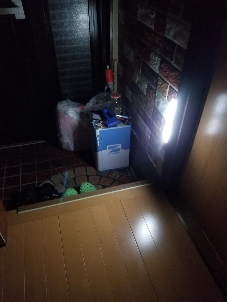 レビュー画像
