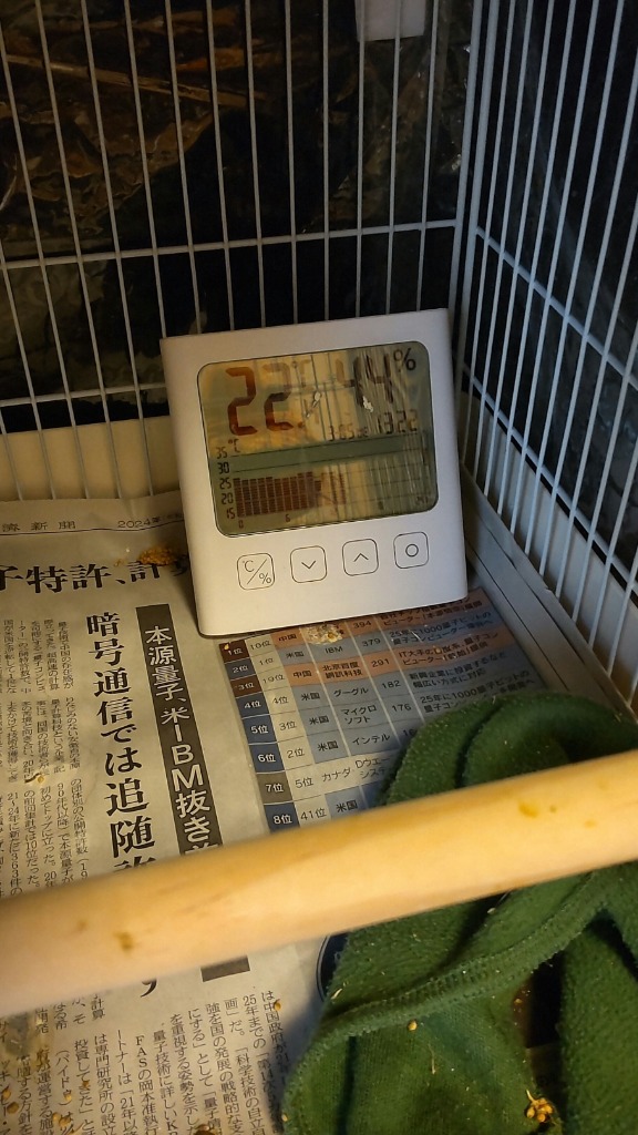 レビュー画像