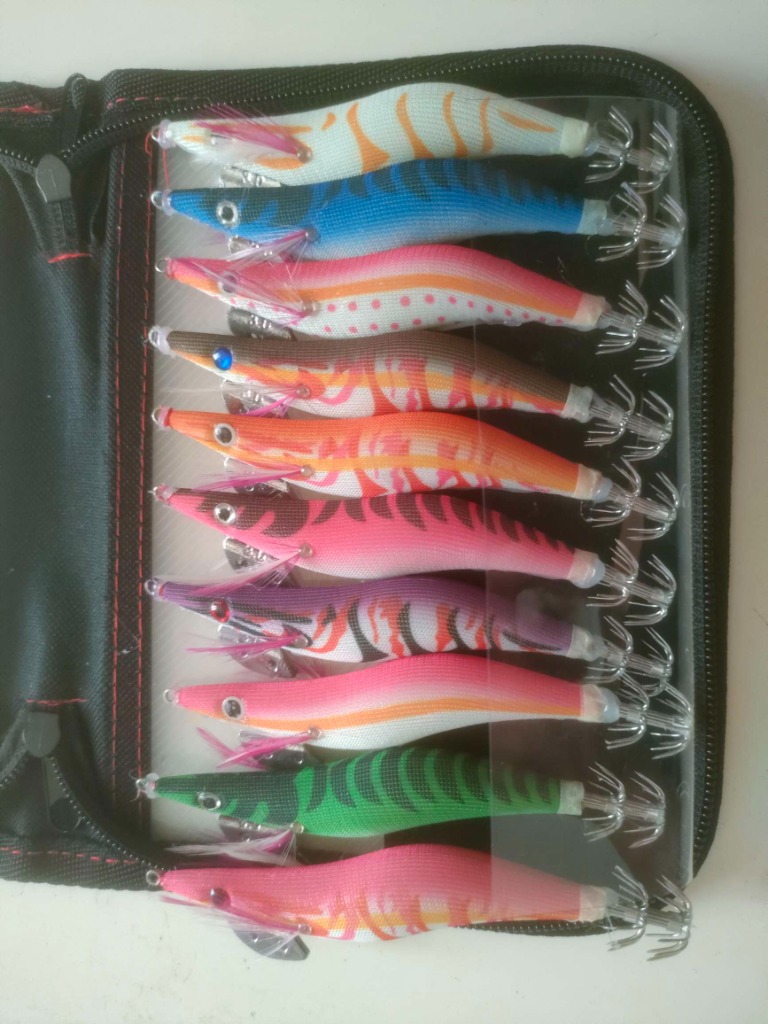 【早いもの勝ち！ケースおまけ付き★】エバーグリーン　エギ 10個セット　釣り Amazon.co.jp: エギケース 10個 収納 餌木 エギ ルアー 両面