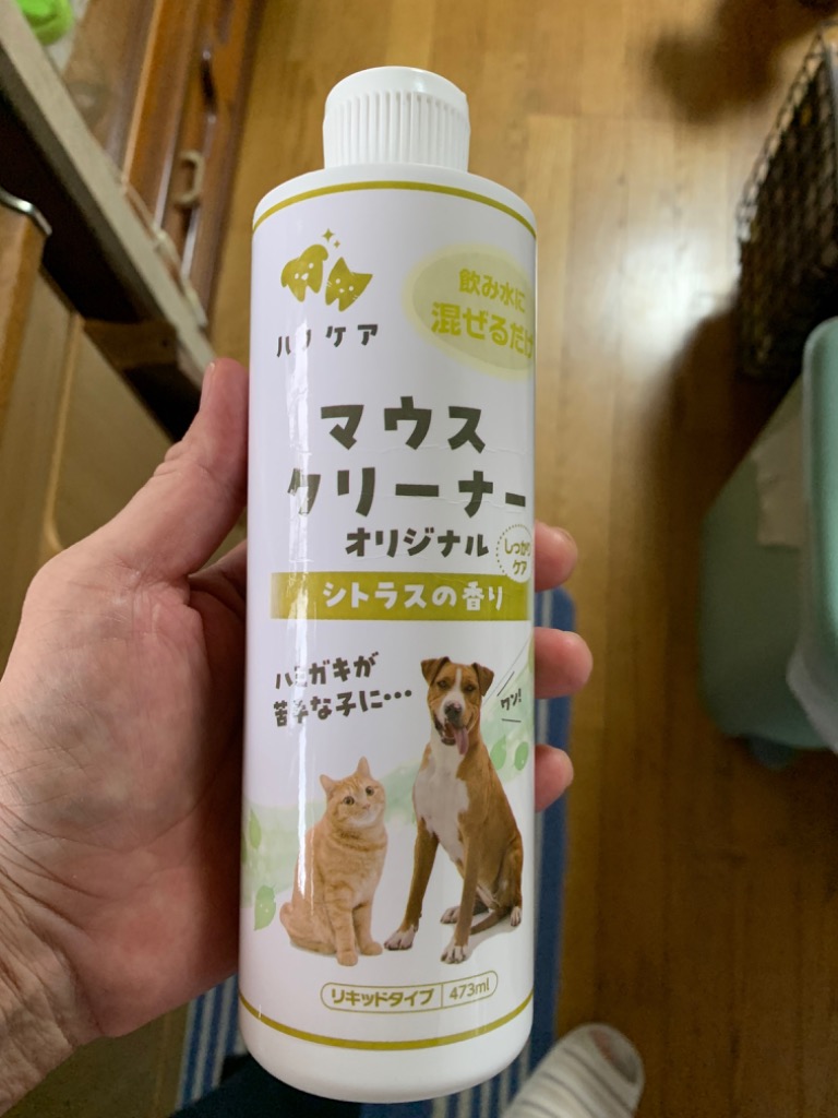 KPSマウスクリーナー473ml×2本 Amazon.co.jp: KPS (ケーピーエス) マウスクリーナー 473ml