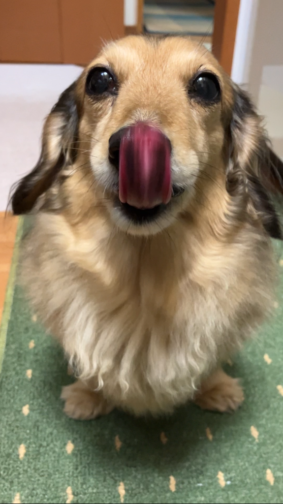 レビュー画像