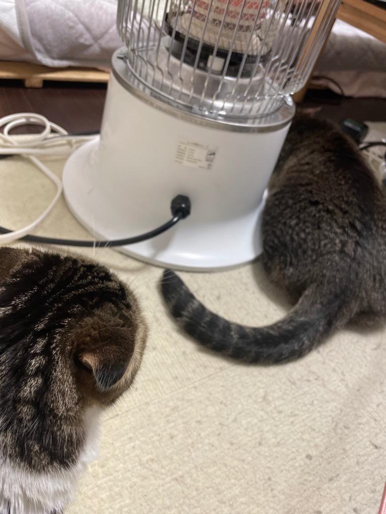 全体のレビュー画像 | 3-0