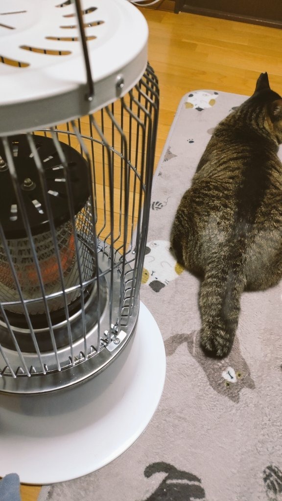 全体のレビュー画像 | 2-0