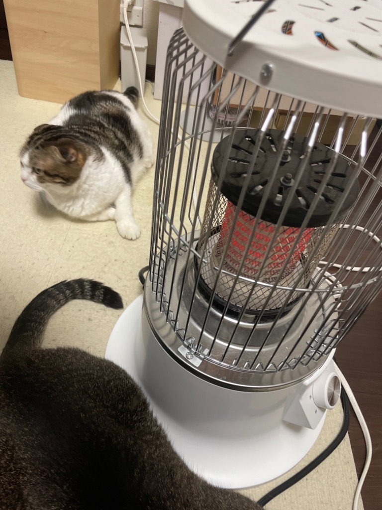 全体のレビュー画像 | 3-1