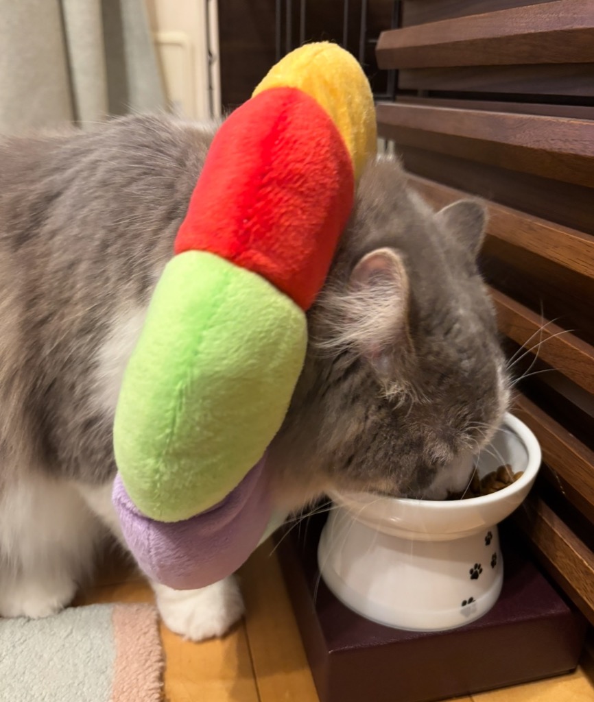 レビュー画像