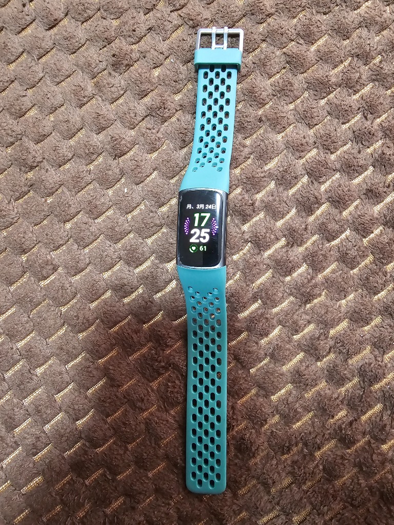 値引き）フィットビット チャージ2 ブルー Fitbit 値引き）フィットビット チャージ2 ブルー Fitbit Google Fitbit