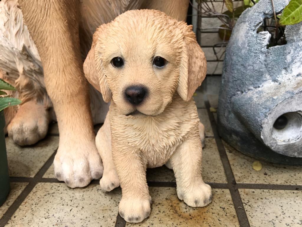 置物 彫像 座っている ゴールデンレトリバー の子犬の像 ガーデニング 庭 Dog Golden retriever ornament statue