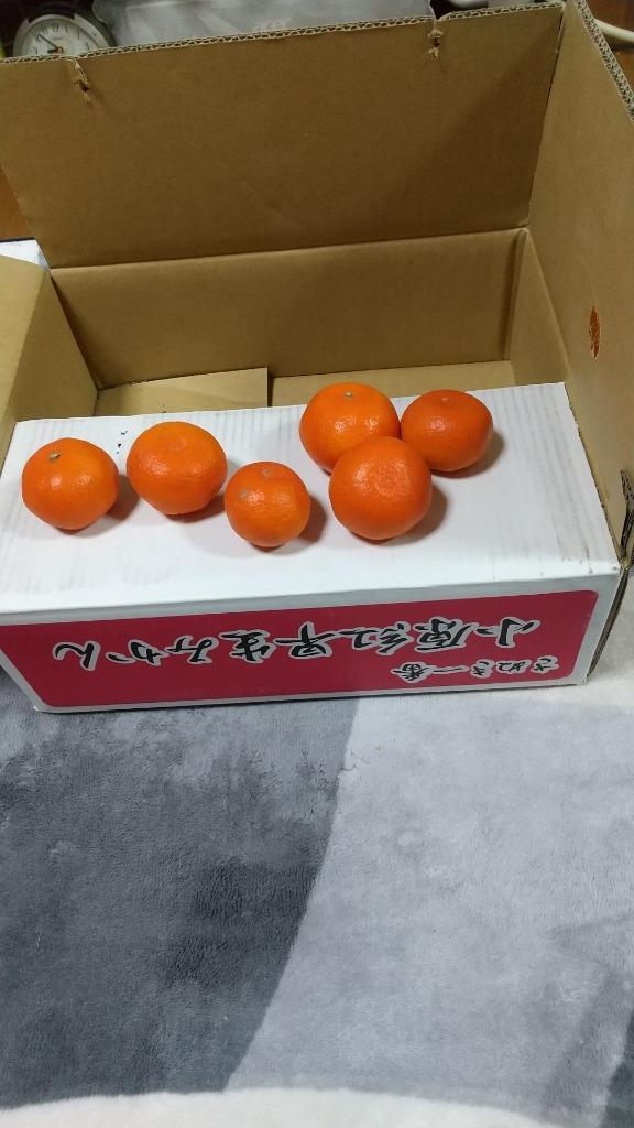 小原紅早生みかん 約５ｋｇ Ｓサイズ（約６０個） 香川県産 :F-000275:美味旬果 - 通販 - Yahoo!ショッピング