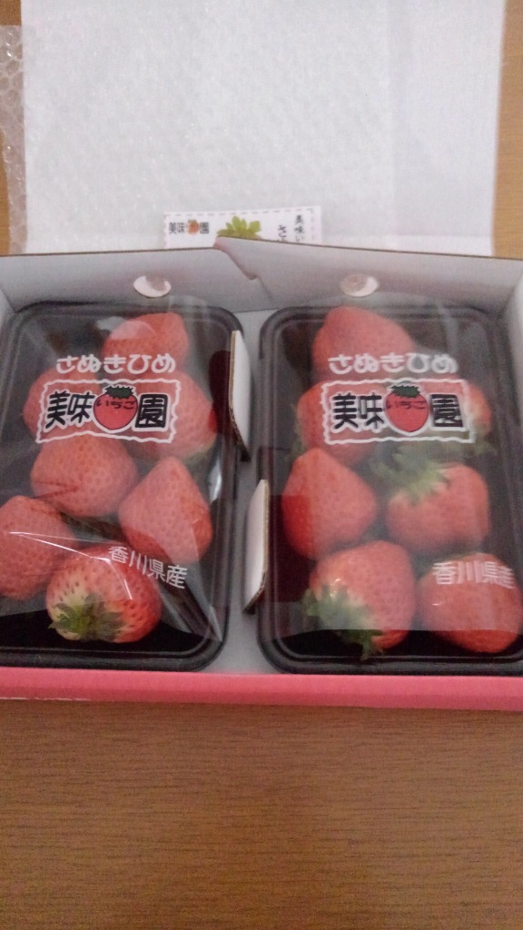 美味いちご園 さぬきひめ 大粒 2箱 1,080g (約270g×4) 香川県産