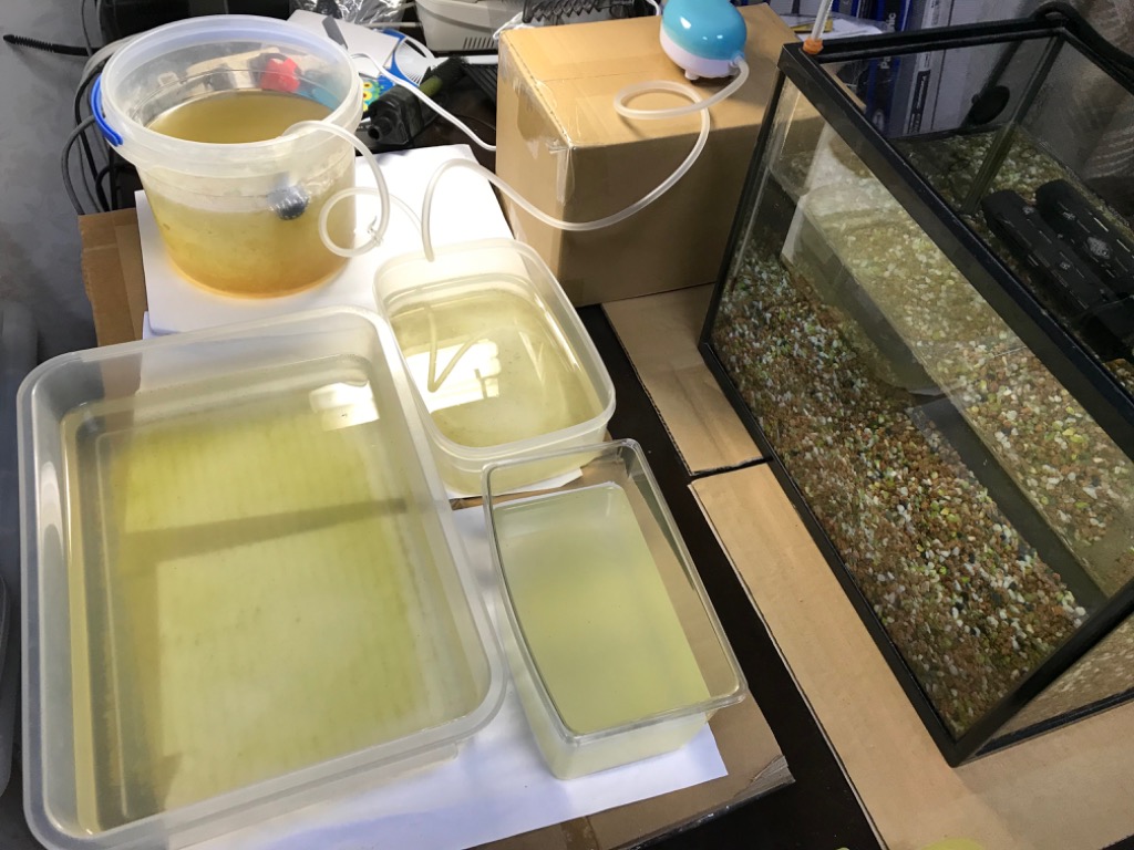 全体のレビュー画像 | 0-2